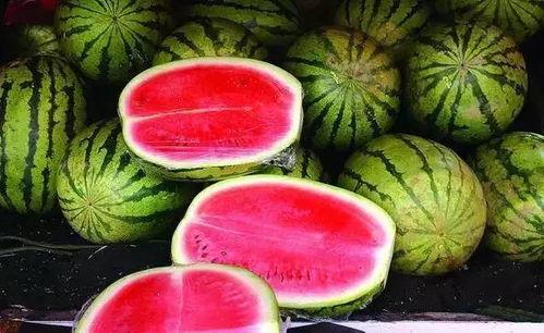 网红大瓜博雅吃瓜视频最全观看,全网最全大瓜集锦，一网打尽网红热点