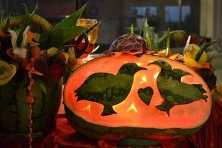 朝阳号外官网免费吃瓜