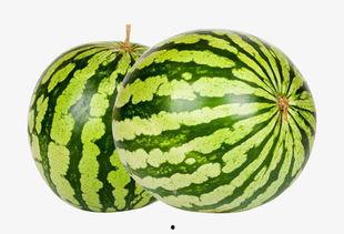 热门大瓜每日必吃大瓜合集