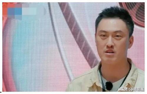 娱乐圈近期吃瓜现状图