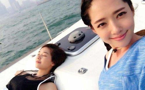 网红黑料 911爆料 不干了,911爆料，不干了背后的真相